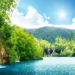 Meet your Posher, Dimitri